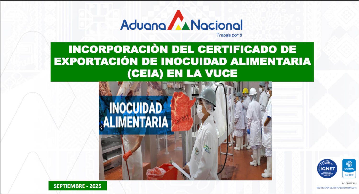 CERTIFICADO CIAE